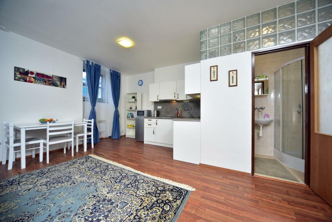 Studio Apartment Dana プラハ エクステリア 写真